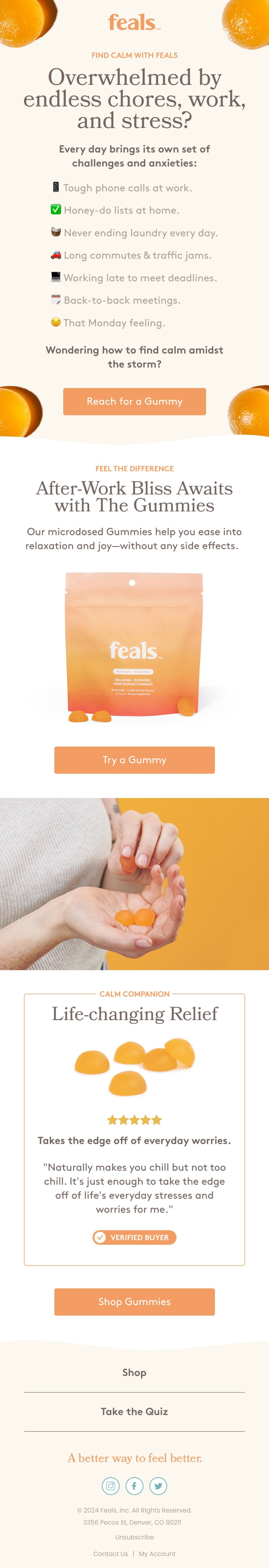 Feals Email Design Thumbnail Preview