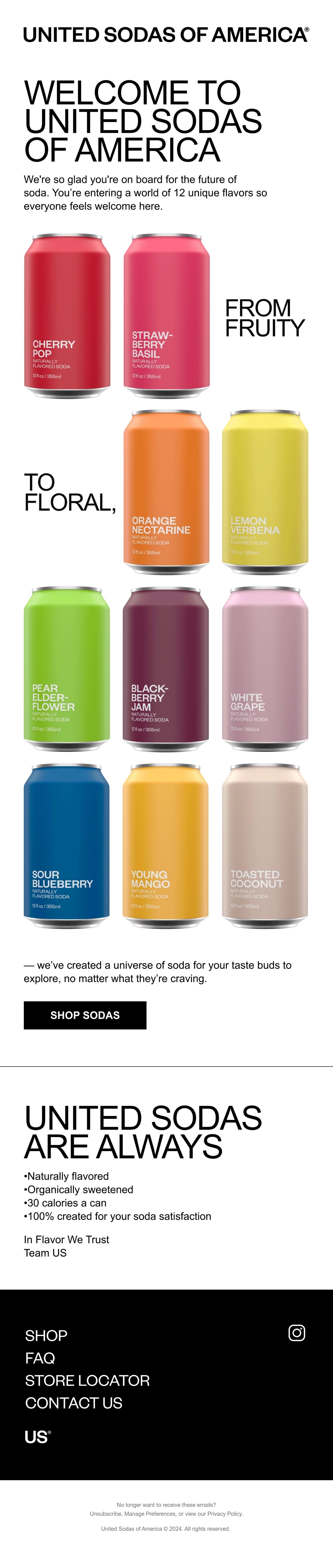 United Sodas Email Design Thumbnail Preview