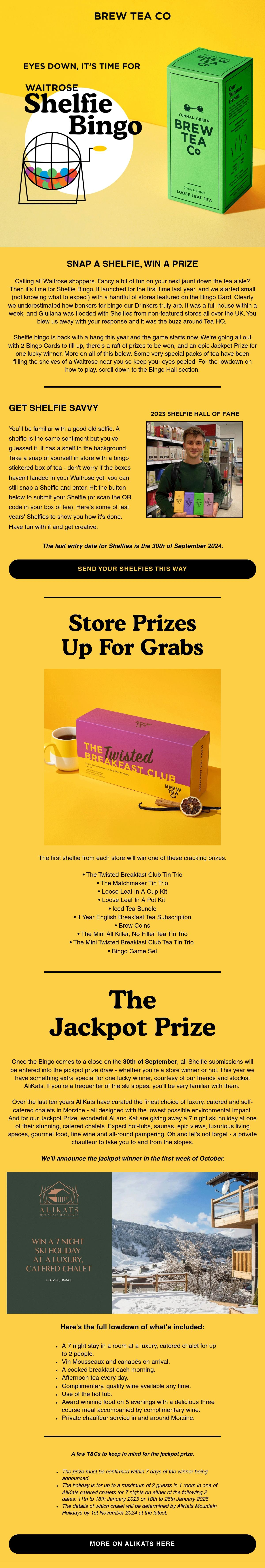 Brew Tea Company Email Design Thumbnail Preview