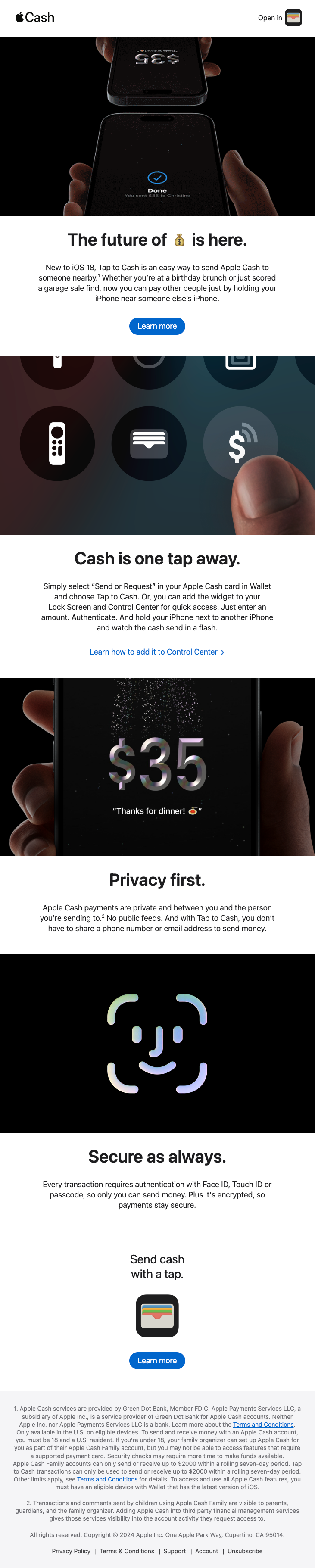 Apple Cash Email Design Thumbnail Preview