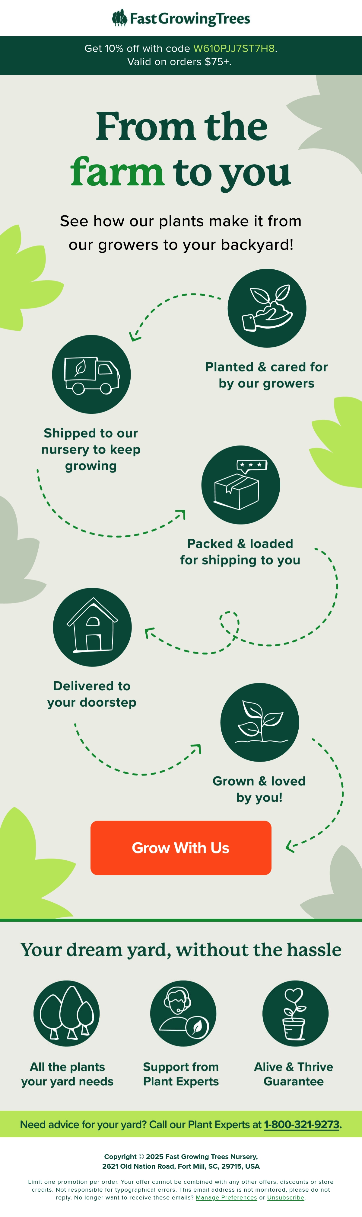 Email Inspiration from Fast-Growing-Trees.com Thumbnail Preview