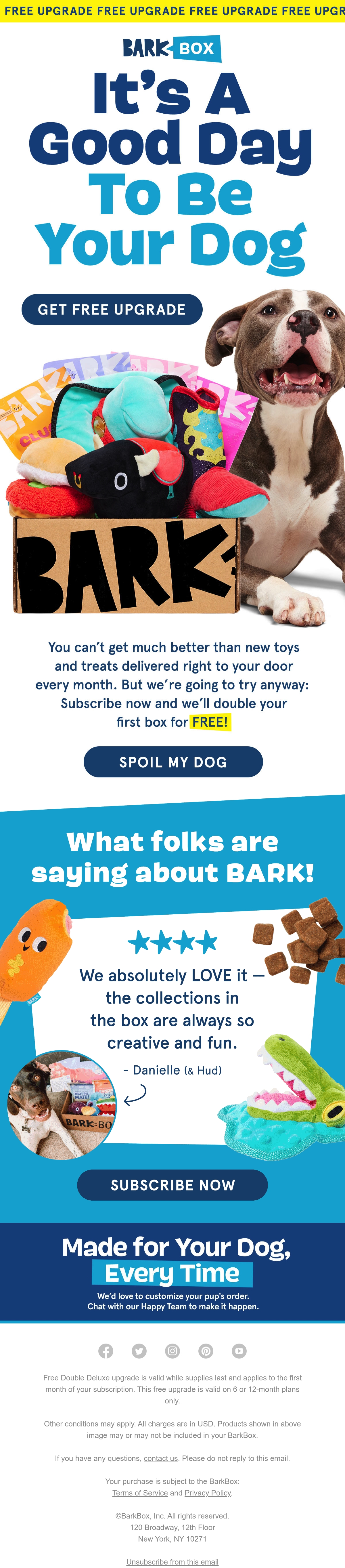 Email Inspiration from Scout from BARK Thumbnail Preview