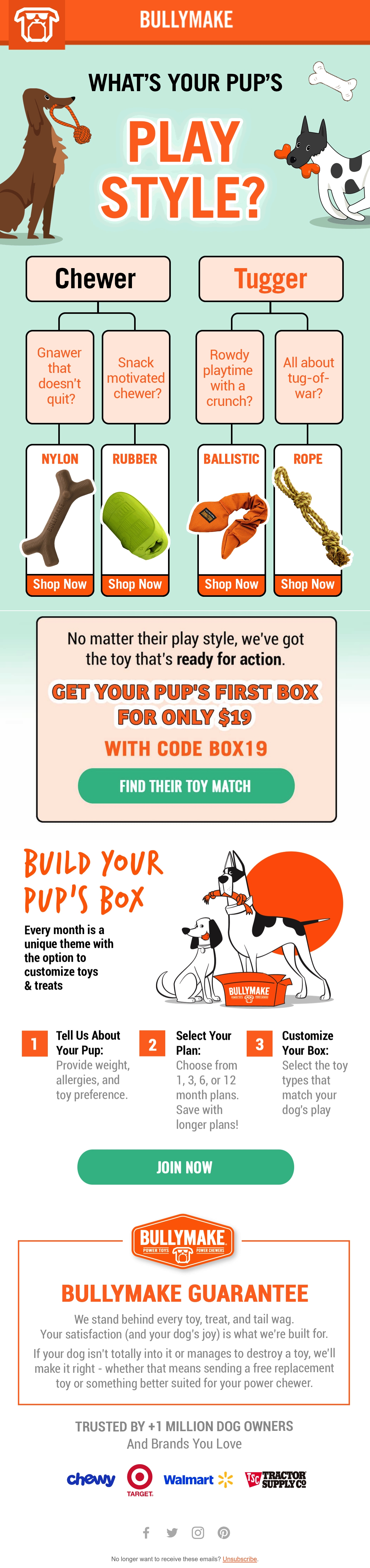 Email Inspiration from BULLYMAKE Thumbnail Preview