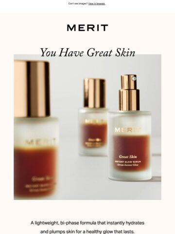 Email Inspiration from MERIT Thumbnail Preview