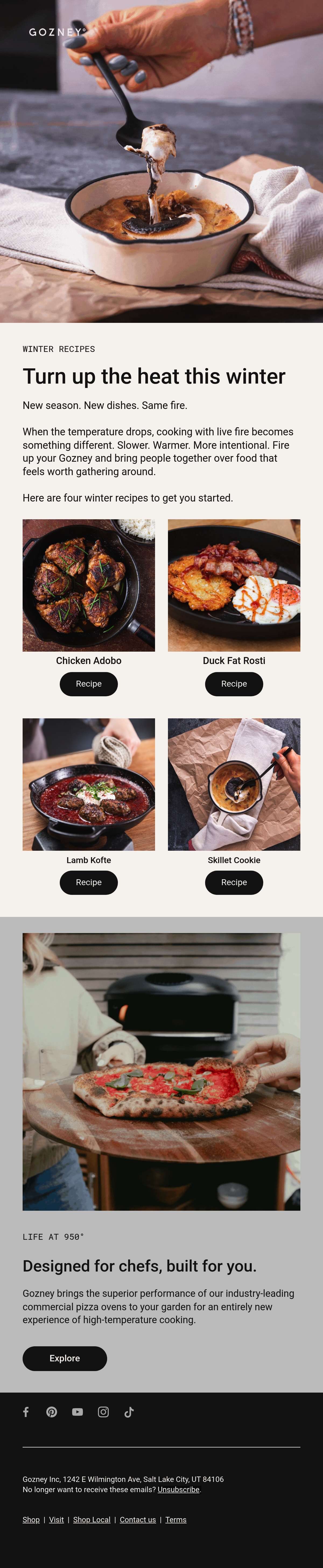 Email Inspiration from Gozney Thumbnail Preview