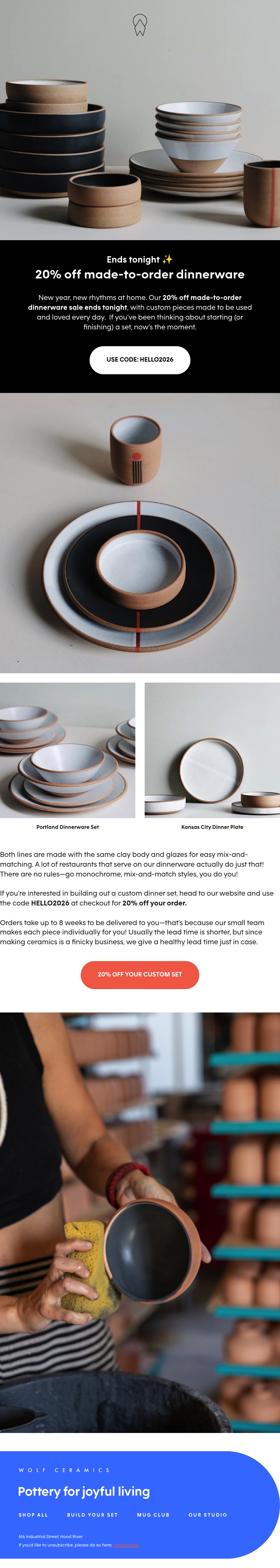 Email Inspiration from Wolf Ceramics Thumbnail Preview