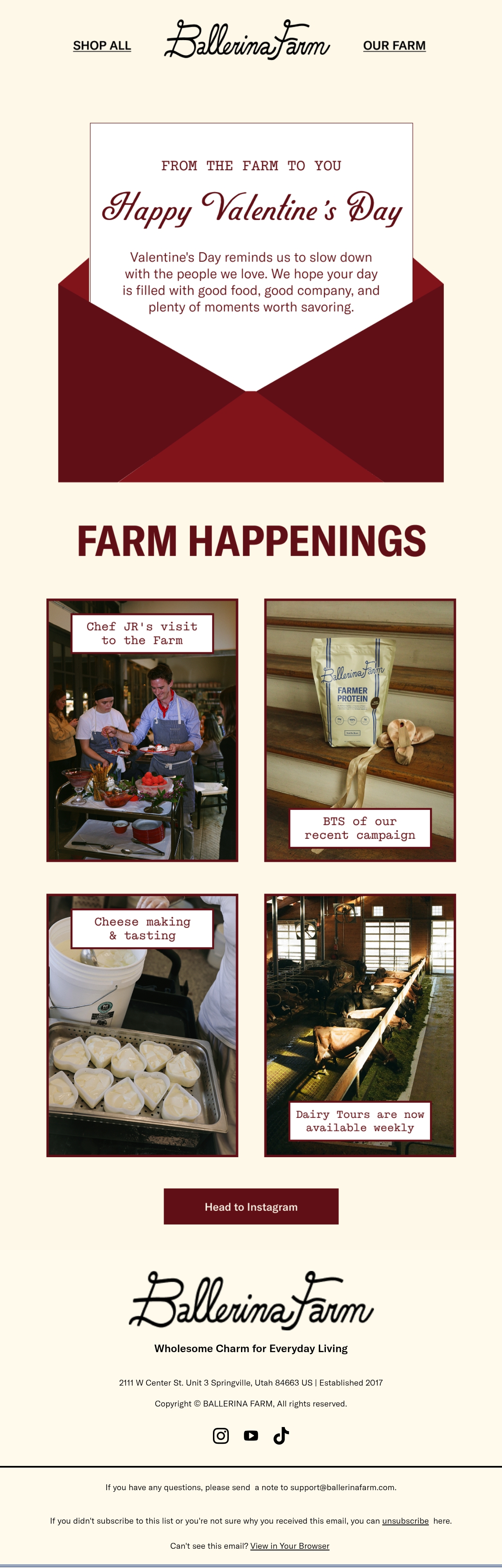 Email Inspiration from Ballerina Farm Thumbnail Preview