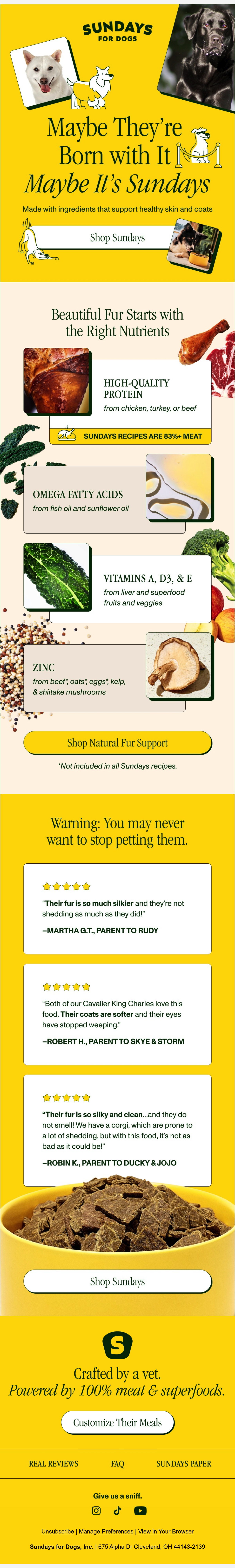 Email Inspiration from Sundays for Dogs Thumbnail Preview