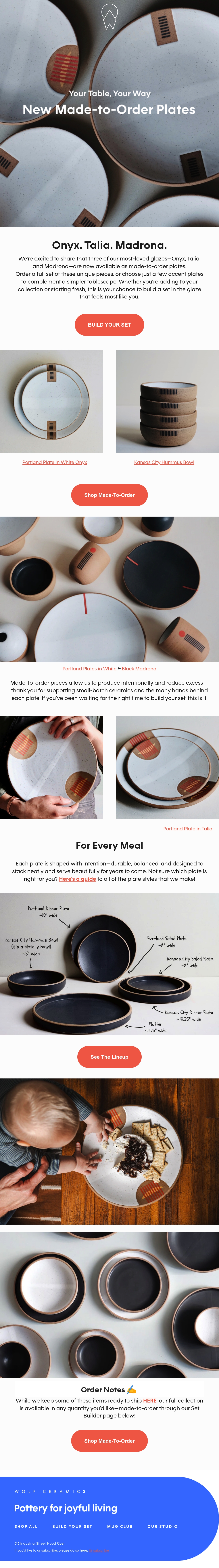 Email Inspiration from Wolf Ceramics Thumbnail Preview
