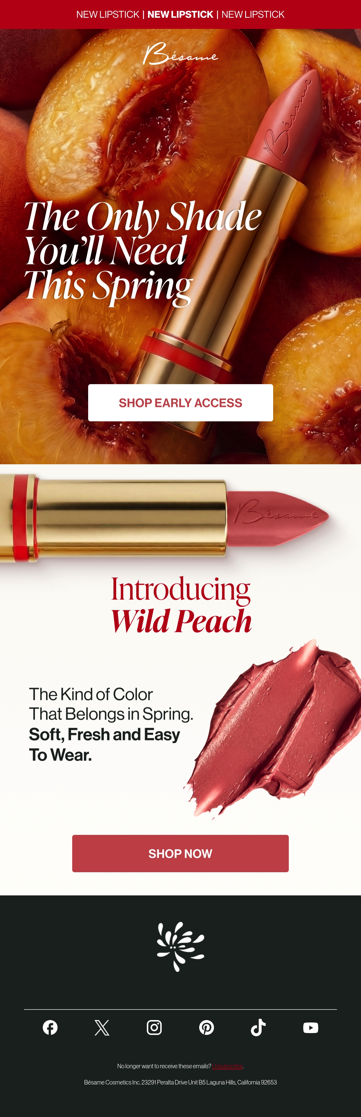 Email Inspiration from Bésame Cosmetics Thumbnail Preview