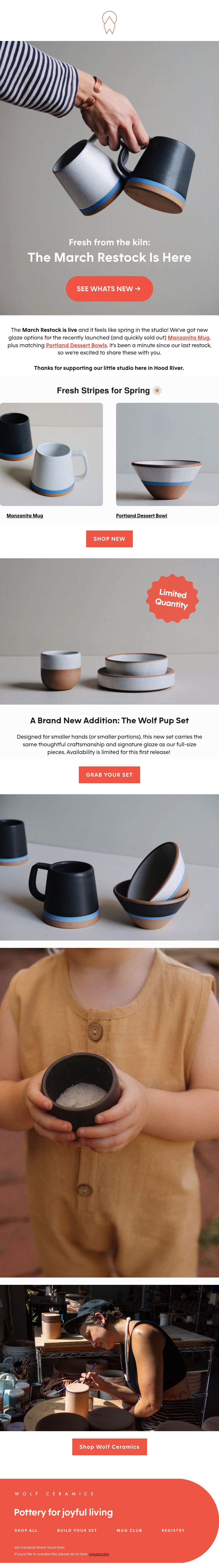 Email Inspiration from Wolf Ceramics Thumbnail Preview