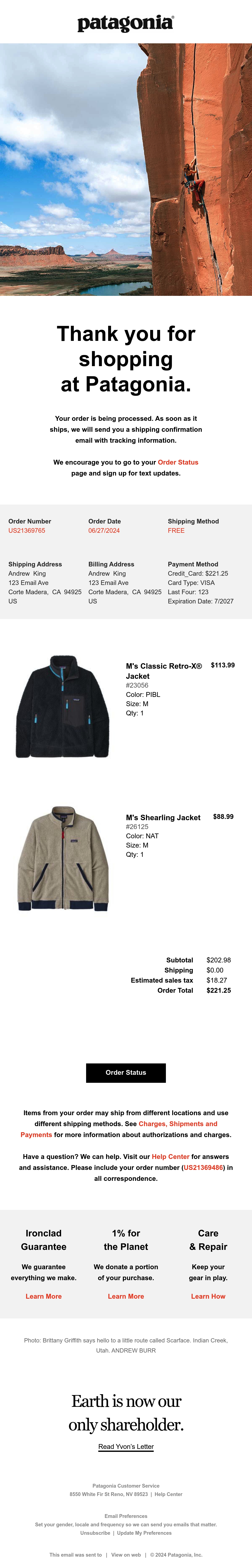 Patagonia Order Confirmation Email Thumbnail Preview