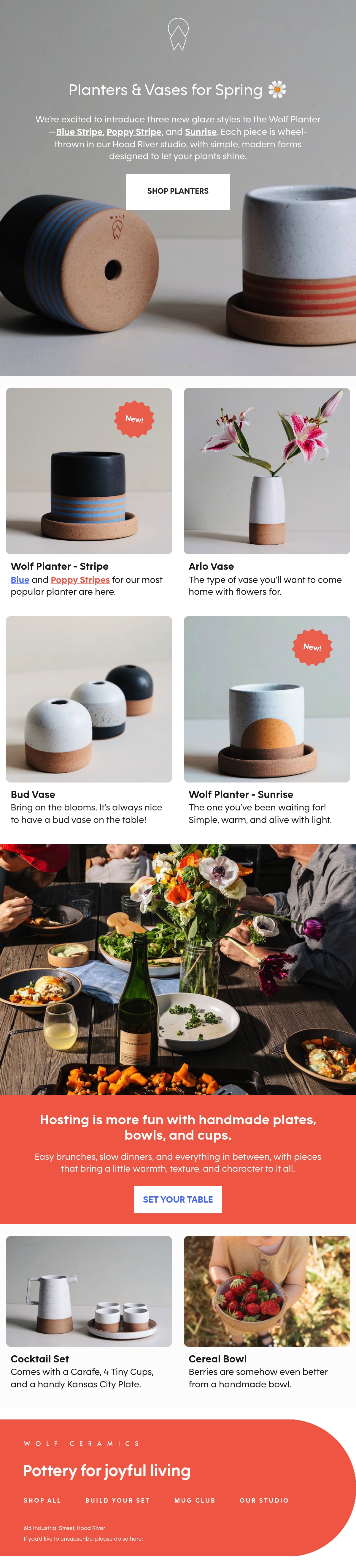Email Inspiration from Wolf Ceramics Thumbnail Preview