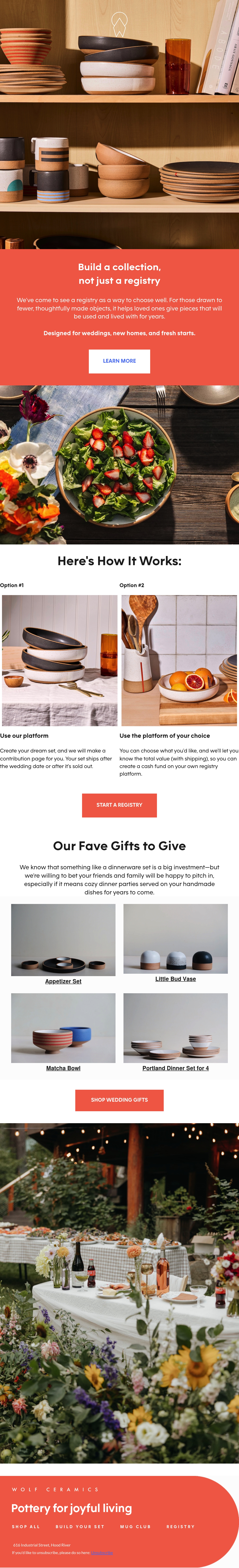 Email Inspiration from Wolf Ceramics Thumbnail Preview