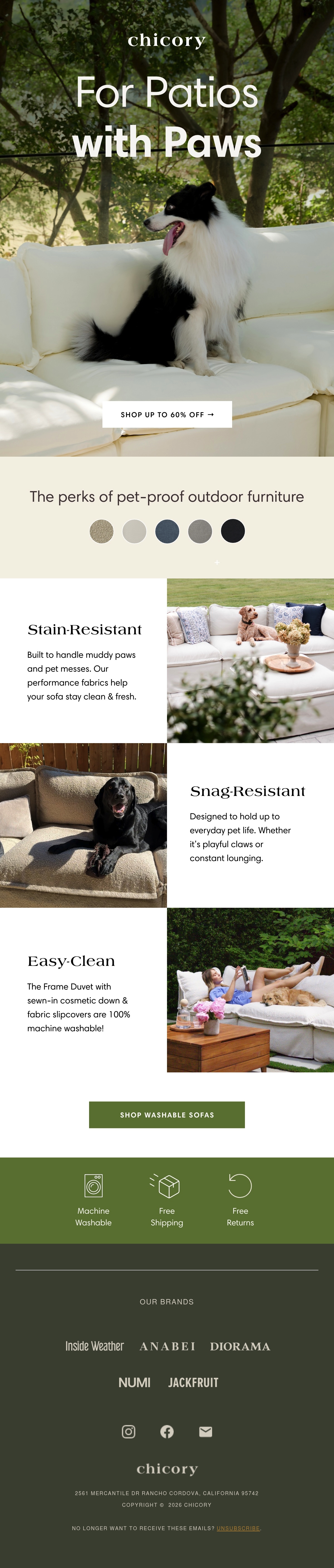 Email Inspiration from Chicory Thumbnail Preview
