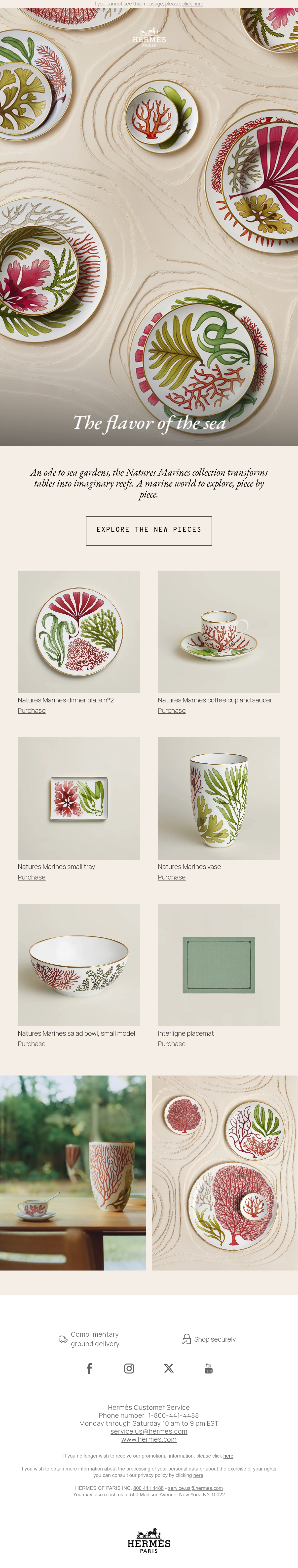 Email Inspiration from Hermès Thumbnail Preview