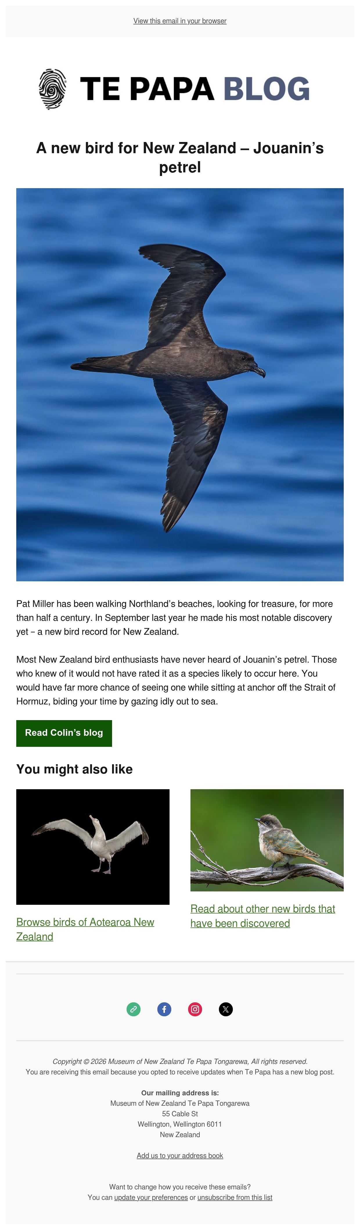 Email Inspiration from Te Papa Thumbnail Preview