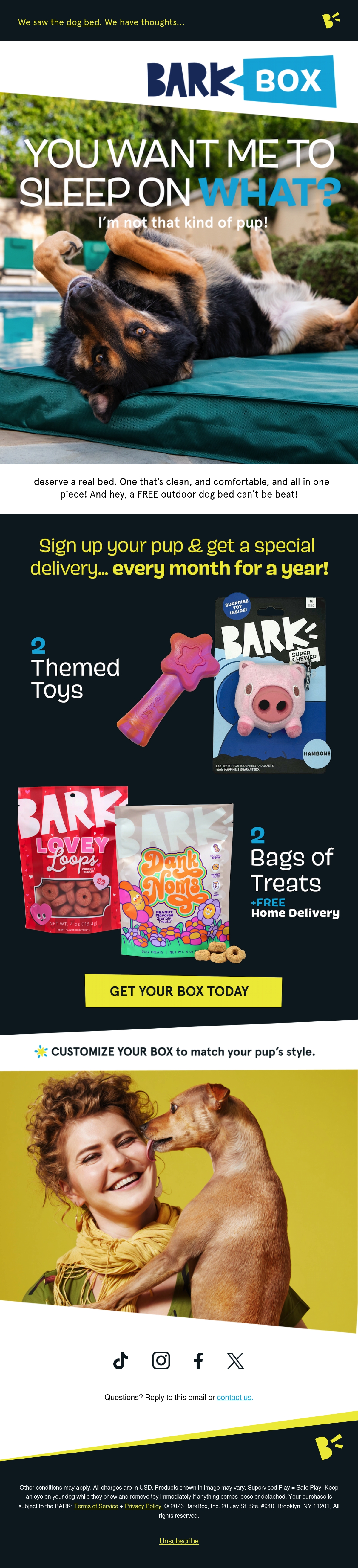 Email Inspiration from BARK Thumbnail Preview