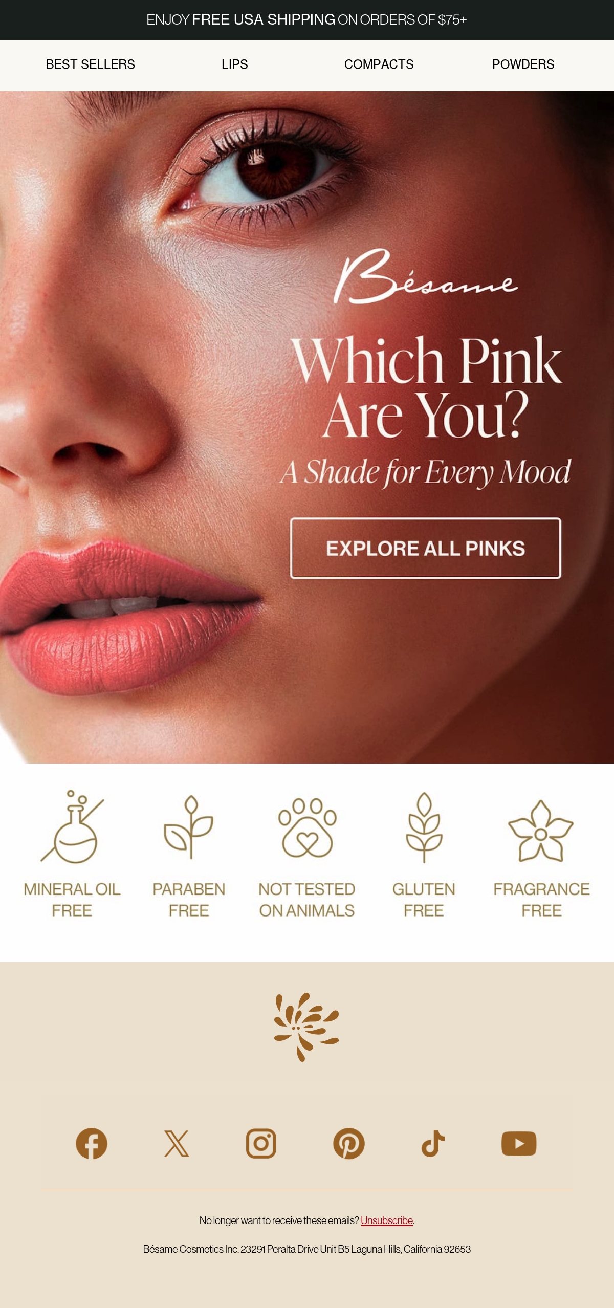 Email Inspiration from Bésame Cosmetics Thumbnail Preview