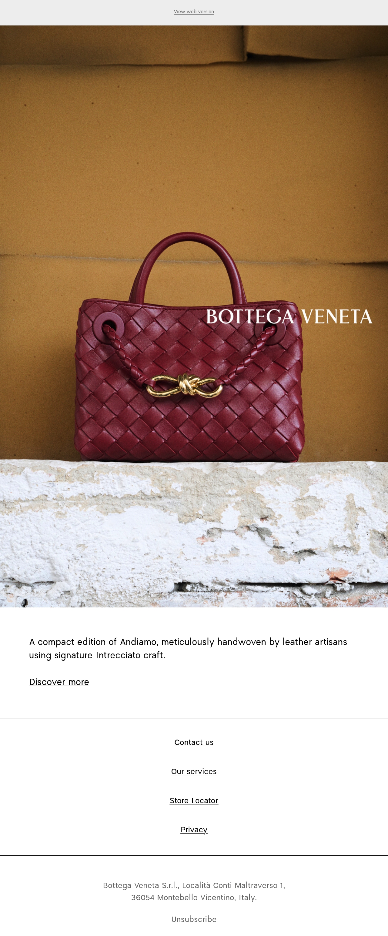 Email Inspiration from Bottega Veneta Thumbnail Preview