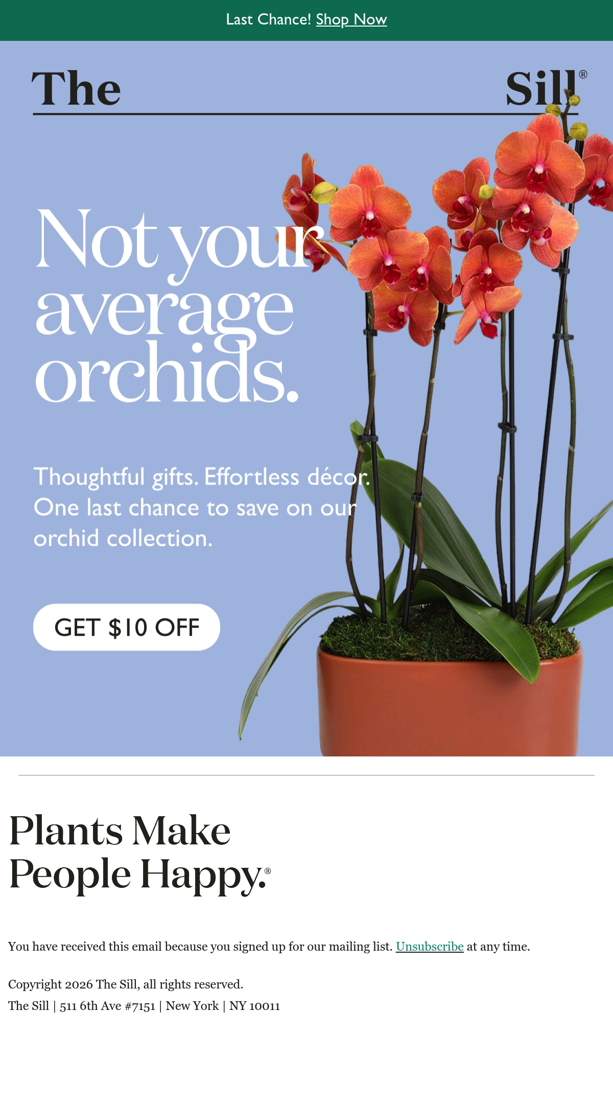 Email Inspiration from The Sill Thumbnail Preview