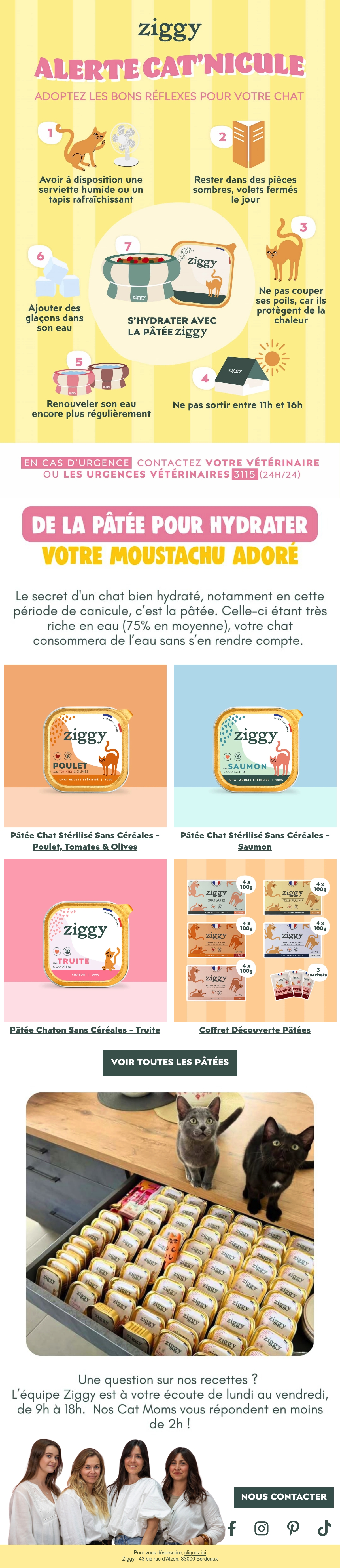 Email Inspiration from Ziggy Thumbnail Preview
