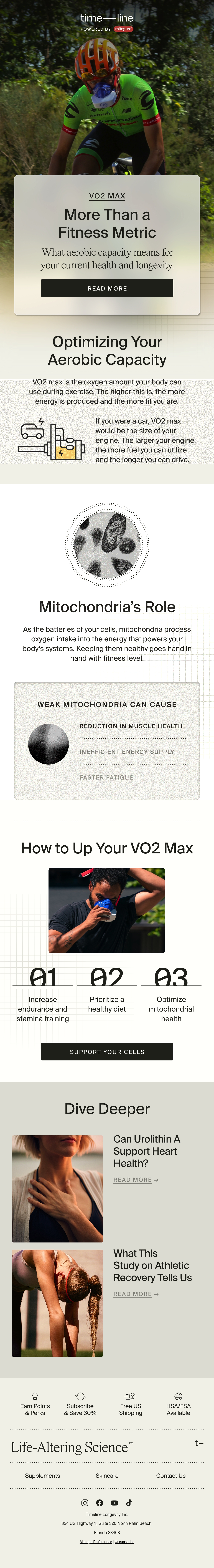 Email Inspiration from Timeline Thumbnail Preview